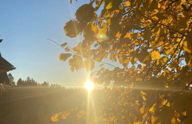 Apartament w górach Gorce - Foto 36