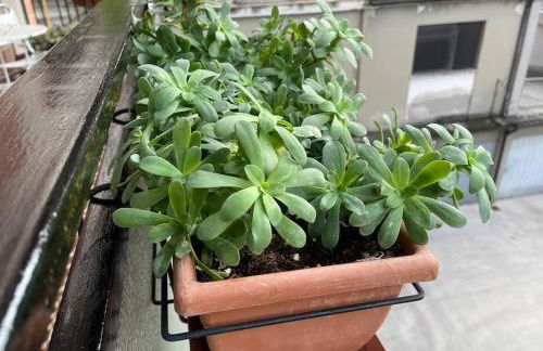 Appartamento spazioso in centro - Foto 14