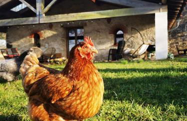 Dépendance avec balnéothérapie - Foto 14