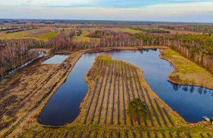 Gospodarstwo Agroturystyczne Zasadkowe Bory - Foto 61