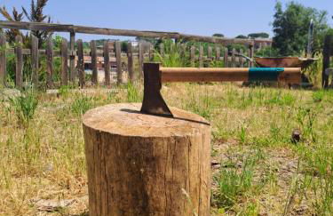 Villa Breda, piscina terraza privada - Foto 31