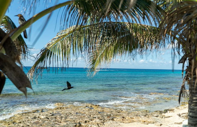 Cozumel Apartments - Foto 15