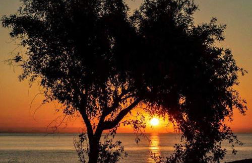 Spirit of Mojacar - Foto 28