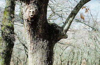 Casa Rural Cristina III - Foto 34