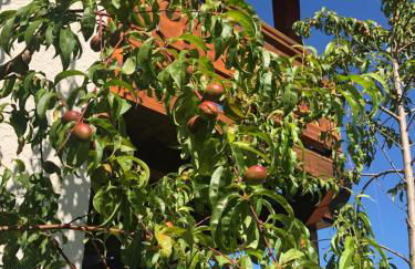 Ferienwohnung Design & Natur - Foto 23