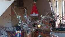 selikalpakishouse - Foto 5