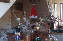 selikalpakishouse - Foto 5