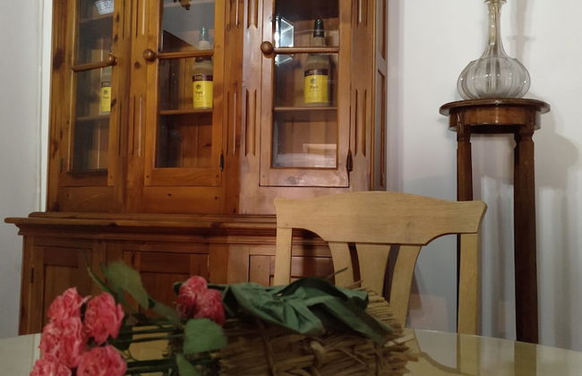 Castaño Real - Photo 14