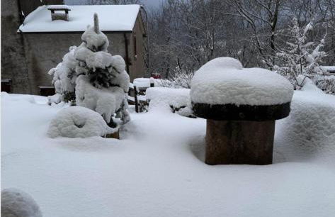 La casa nel bosco - Foto 17