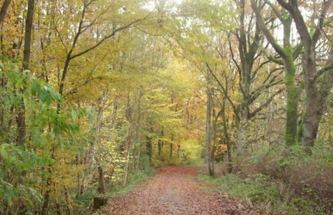 Holiday Apartment Kirchhoff - Foto 9