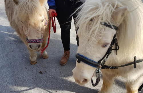 Am Valtlhof - Photo 6