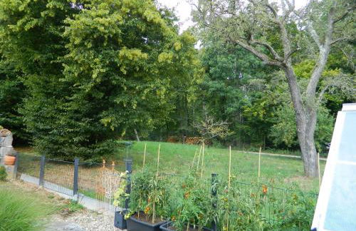 Helle 45 qm Einliegerwohnung - Foto 13