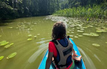 Dom Na Szlaku Mazury - Photo 46