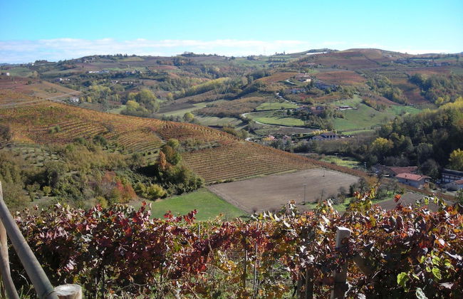 Bricco Rosso - Foto 30