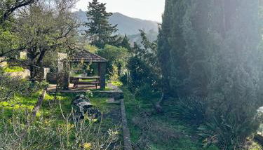 Casa La Veguetilla en San Mateo - Foto 3