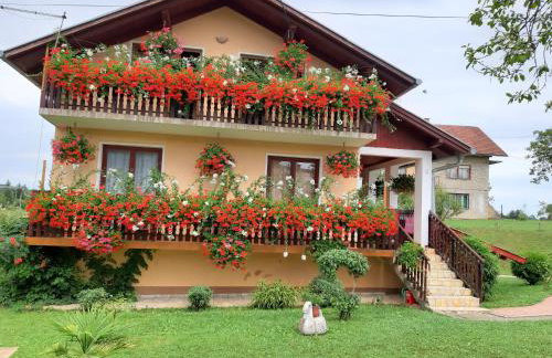 Apartman Morana - Foto 6