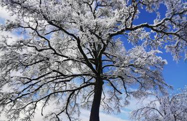 Apartman Sveti Rok - Foto 26