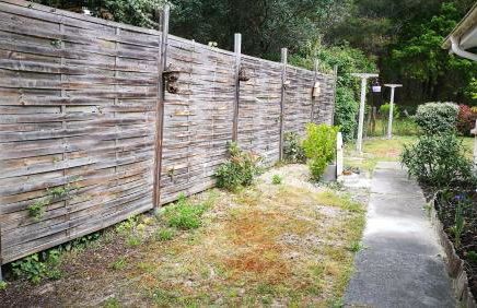 La canopée - Foto 18