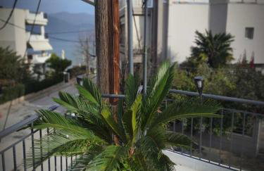 Zefi's House - Photo 25