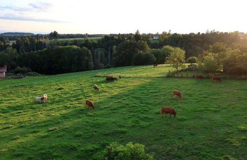 Schwarzwaldstube Alpenblick - Foto 36