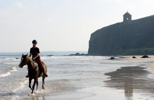 Clonaslee House - Foto 37