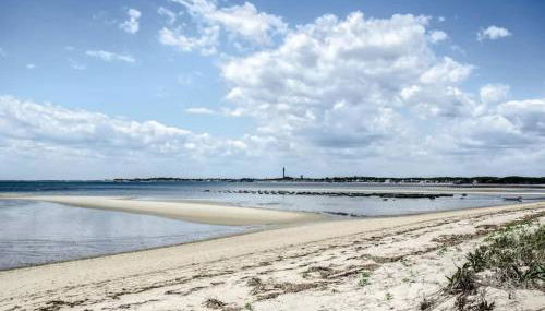 Fresh and Crisp Pet Friendly Studio - Foto 2