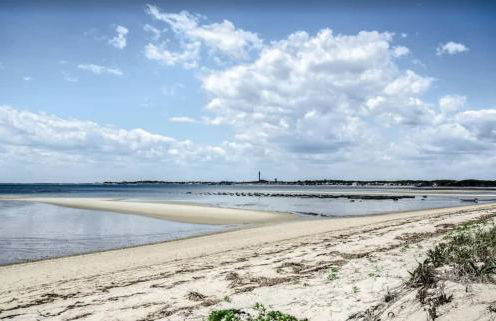 Fresh and Crisp Pet Friendly Studio - Foto 2