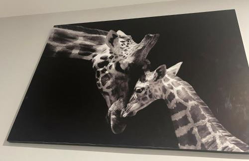 apartamentos Bandera - Foto 23