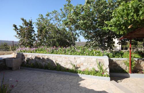 Apartments with WiFi Stivan, Cres - 382 - Foto 41