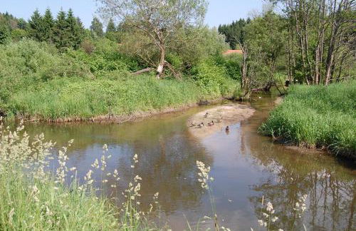 Ferienhaus mit Seeblick - Foto 17