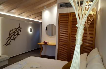 Oasis Exclusive - Foto 12