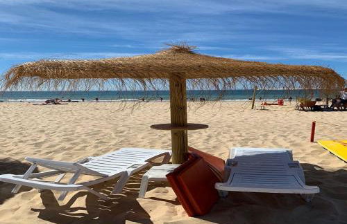 Altura Beach AL - Photo 27