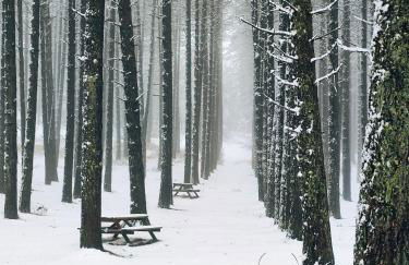 Casa do Azevim - Foto 59