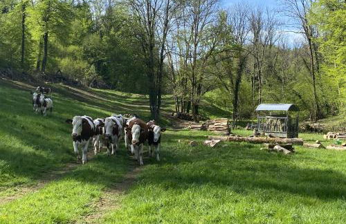 l'ECURIE pour 6 personnes - Foto 14
