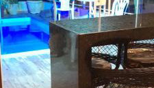 Cantinho do paraíso da Deuza - Foto 3