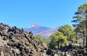 Villa ARTE - Foto 71