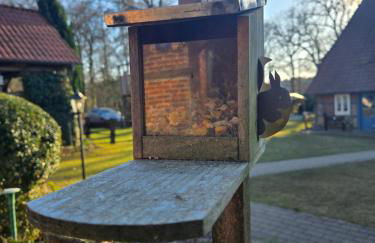 Ferienhof Holste GmbH - Foto 63