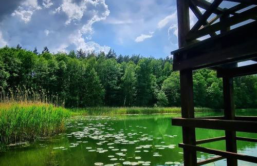 Osada Miłojeż - całoroczne Domy Premium w Borach Tucholskich, Jacuzzi pod gwiazdami - Foto 43