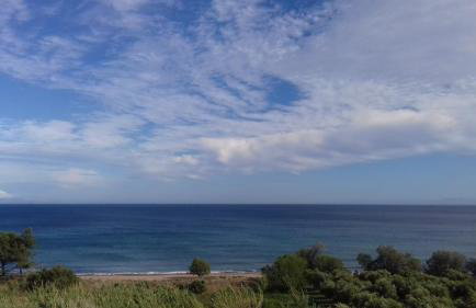 Margarita House - Photo 15