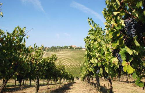 Agriturismo Isola Verde - Foto 56