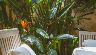 Maison Magdeleine - Photo 4