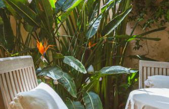 Maison Magdeleine - Photo 4