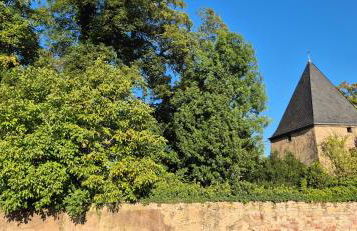 Bicycle Lodge - Foto 4