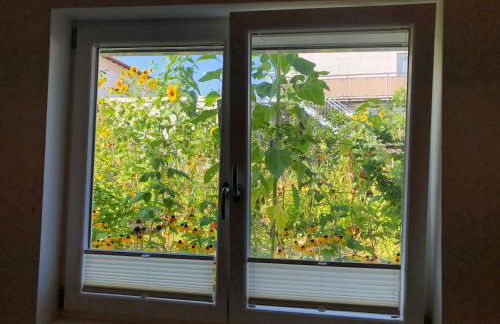 Ferienwohnungen In de goldisch Luft - Foto 5