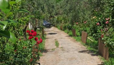 Sol's Place - Foto 5, Garden