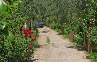 Sol's Place - Photo 5