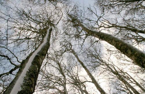 Casa Rural Irugoienea - Foto 52