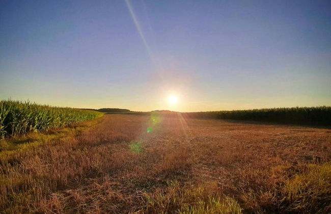 Cozy Apartment in Ruhmannsfelden With Swimming Pool - Photo 77