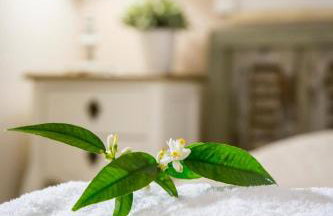 Village House Lianelia Boutique - Foto 25