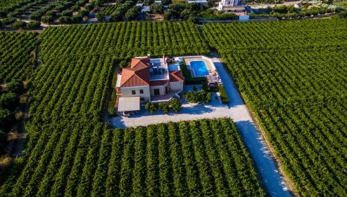 Cretan Vineyard Hill Villa Private Pool, Panoramic View, Beautiful Vineyard - Foto 4